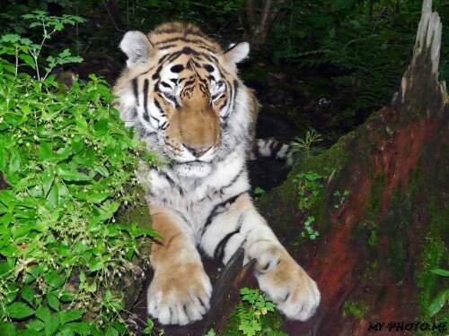 ����������� ���� ������� 17 ��������� �� �������� ������