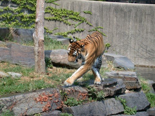 ����� ������������ ��� ������ ������