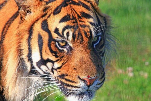 ������������� ����� ��� ������� ��-�� ������� ����� ���������