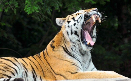 � ���������� �������� ������ �� �������� ������ ����������