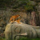 ����� �����