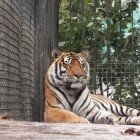 ����� �����