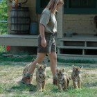 ����� �������