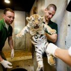 ����� �������