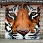 ����� � ������� ��������