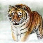 ����� � ������� ��������