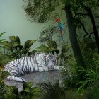 ����� �����