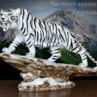 ���������� � ���������