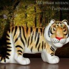 ���������� � ���������