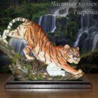 ���������� � ���������