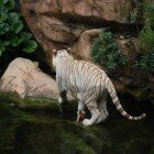 ������������ �������