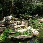 ������������ �������