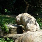 ������������ �������