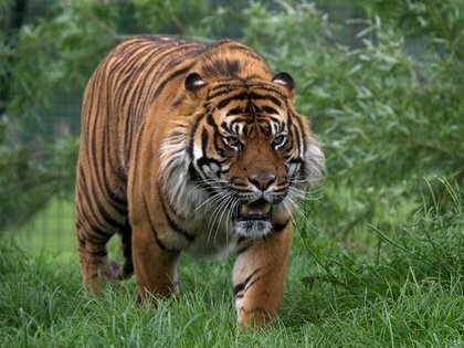 ������� ���������� ������ �� ������� �������