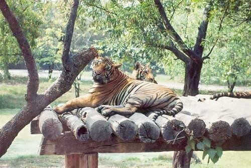 � �������� ������ ��� ���� �������� ����