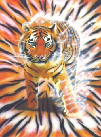 ���� - ����������� ����