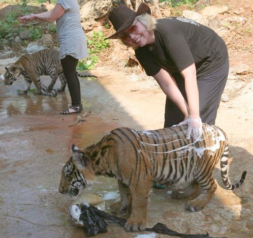 ���� � �������� ����