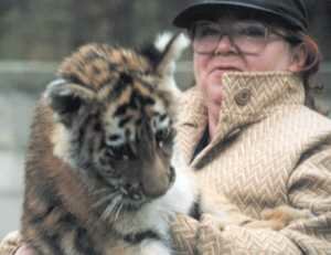 ������ ����� �������� ��������