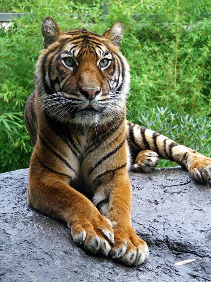 ������������ ����