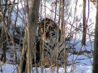 ������� ����� � �����