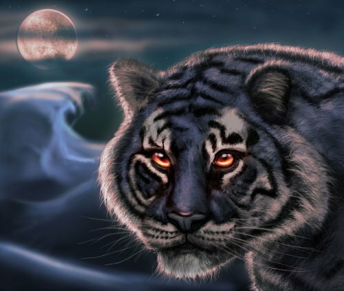 ����������� ����