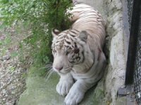 ������� �������� ������ �� �������