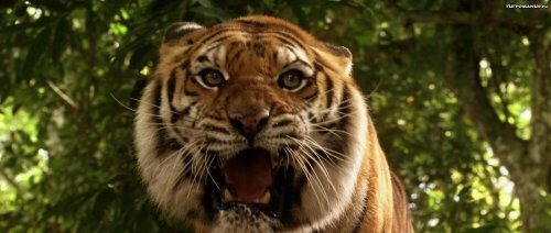 ���� ����� ���-���� ����