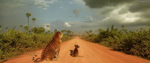 ���� ����� ���-���� ����