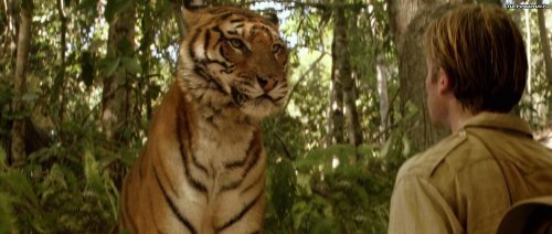 ���� ����� ���-���� ����