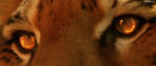 ���� ����� ���-���� ����