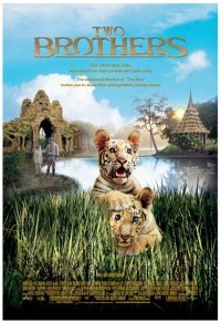 ���� ����� ���-���� ����