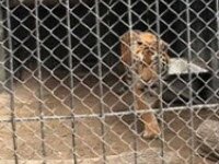 �������� ������� ����� �� ����������� �������� ��������� ���� � ��������