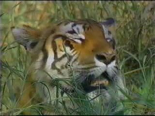 ��������� ������