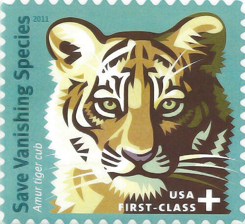 ��������������� ������ ����� ������� ������������ ���������