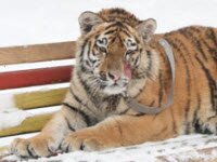 ������������� ������ ������ ��������� ����, ��������� �������� (����, �����)