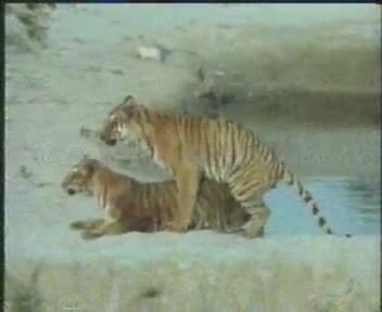 ���������� ������