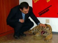 ����� �������� � ���������� ������ ����������