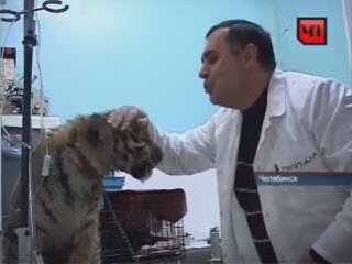 ���� �����. �������� ������������ + �����.