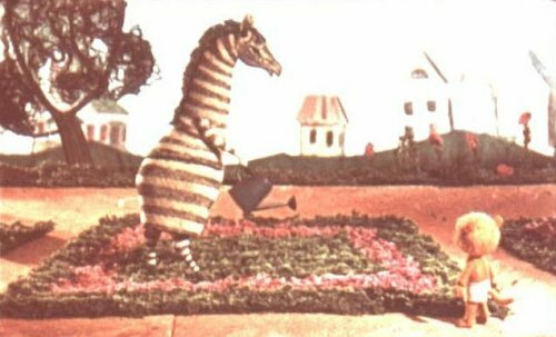 ��� �������� �����, � �������� ������� �������