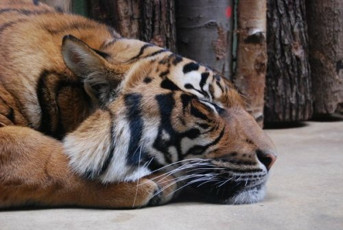 ������ ����� ����. �������. ����.