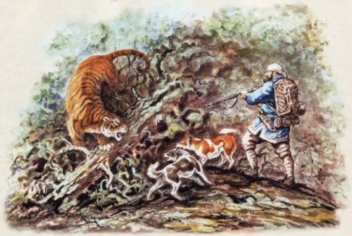 ������������ ����