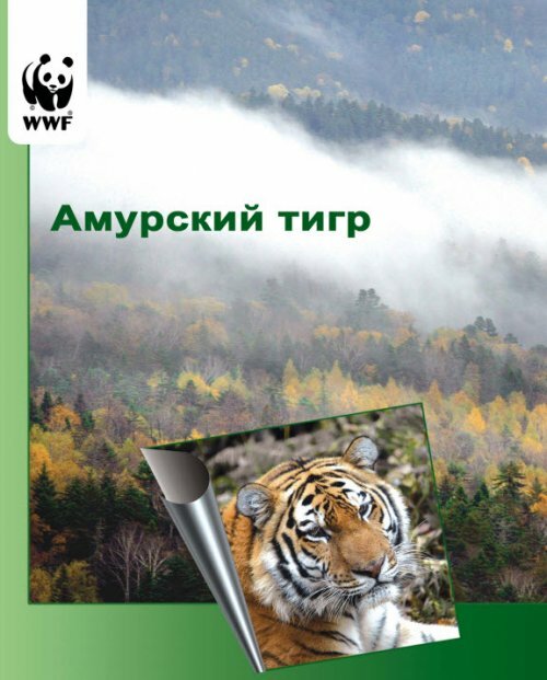 �������� ����