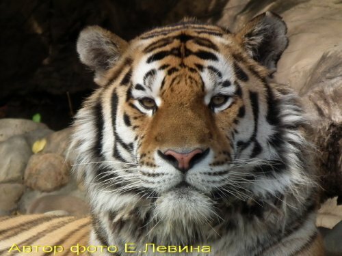 24 �������� � ���� ����� � ���������� ��������