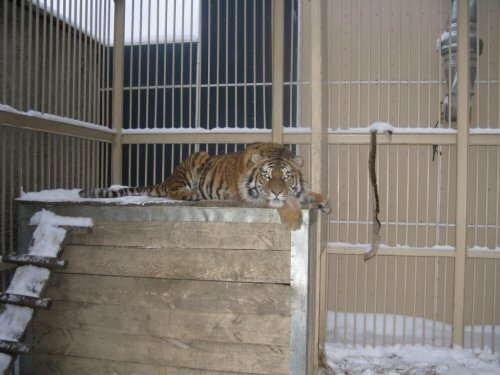 �������� �����