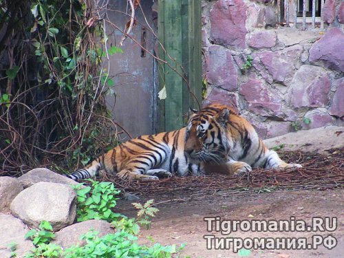 � ���������� �������� �������� ���� ��������� ����� (����, �����)