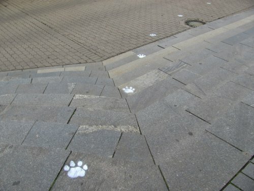 � ���������� �������� �������� ���� ��������� ����� (����, �����)