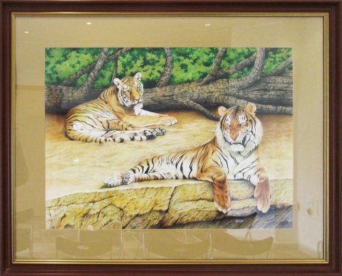 � ���������� �������� �������� ���� ��������� ����� (����, �����)