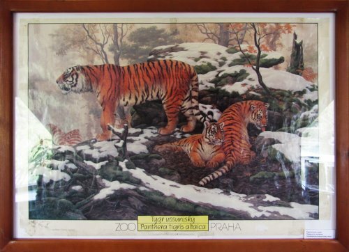 � ���������� �������� �������� ���� ��������� ����� (����, �����)