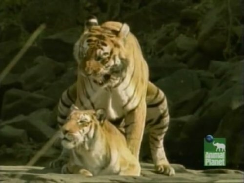 ���������� ������