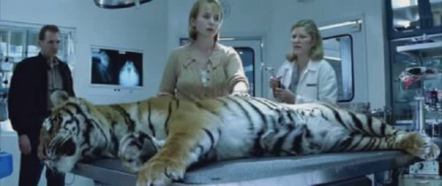 ������� ������ (�������)